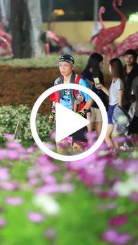 BIB:  <button type="button" onclick="openModal(27591048)" class="btn btn-primary btn-sm float-right" data-toggle="modal" data-target=".modal-high-quality">
                <i class="fa fa-download"></i> Download
                </button>